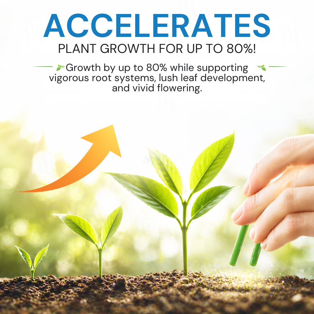AEXZR® Home Greenery · 90-Day Lazy Plant Food Sticks🌿 At last – a plant food that works whilst you sleep.